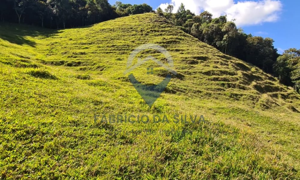 WhatsApp Image 2026-02-04 at 09.47.35