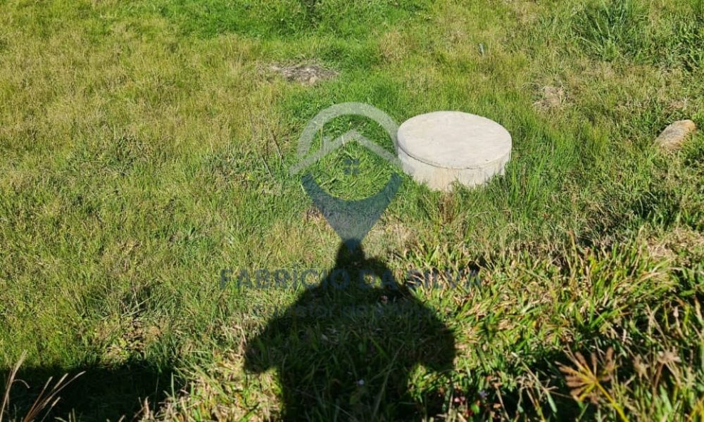 WhatsApp Image 2026-02-04 at 09.47.37