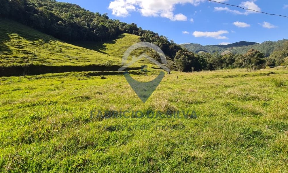 WhatsApp Image 2026-02-04 at 09.47.39