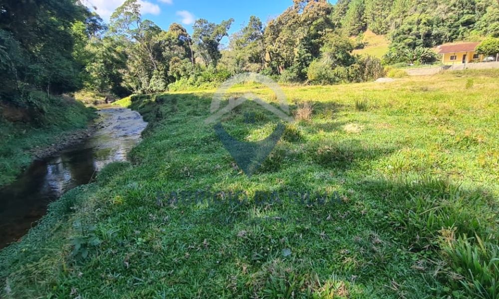 WhatsApp Image 2026-02-04 at 09.47.40