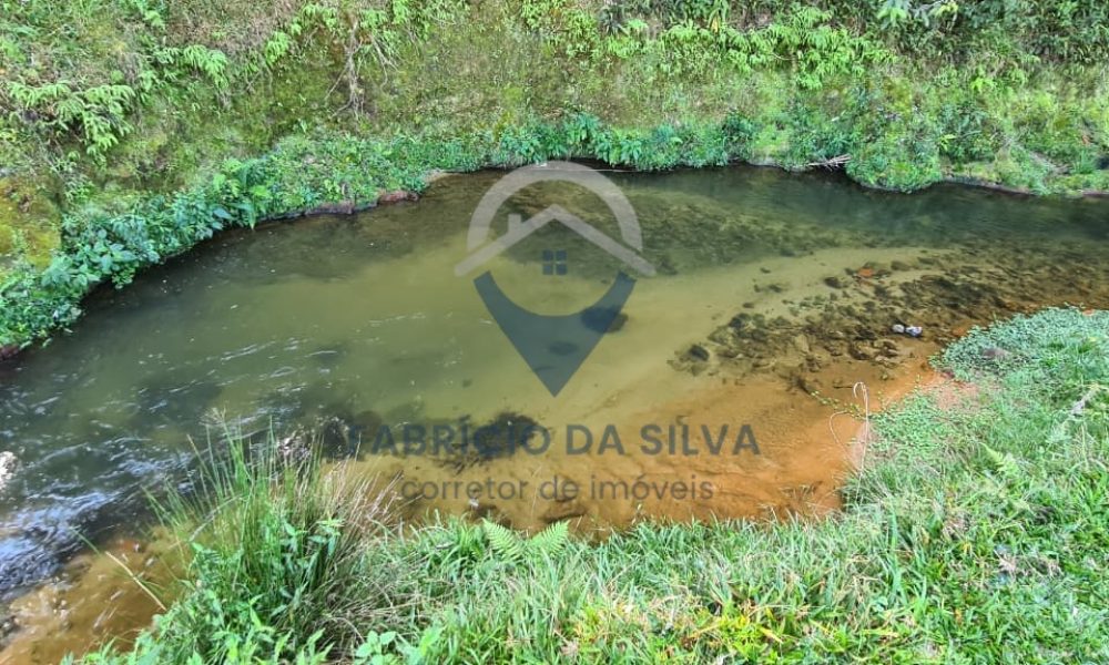 WhatsApp Image 2026-02-04 at 09.47.41