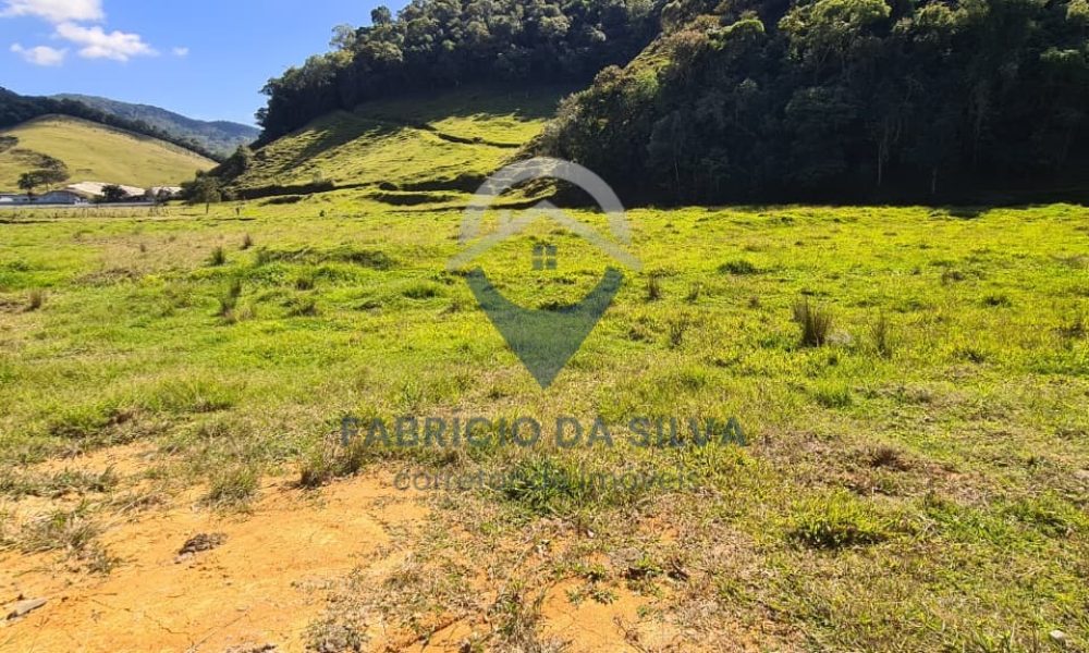 WhatsApp Image 2026-02-04 at 09.47.44