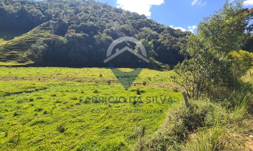 WhatsApp Image 2026-02-04 at 09.47.46