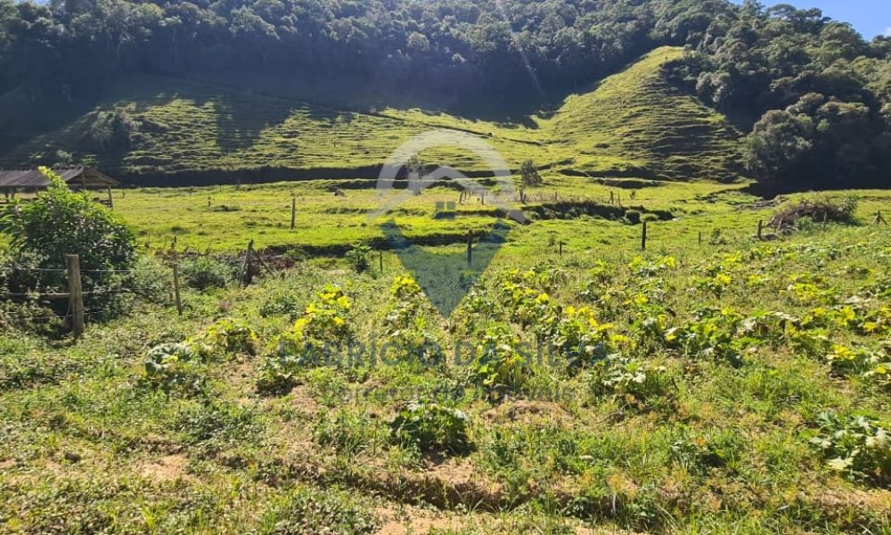 WhatsApp Image 2026-02-04 at 09.47.48 (2)