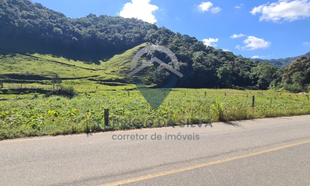 WhatsApp Image 2026-02-04 at 09.47.48