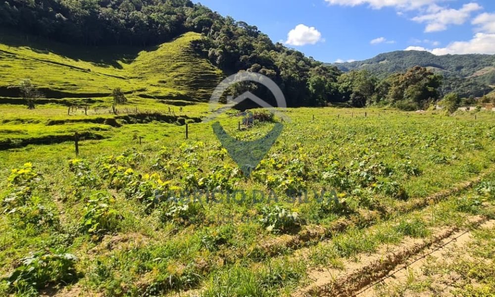 WhatsApp Image 2026-02-04 at 09.47.49