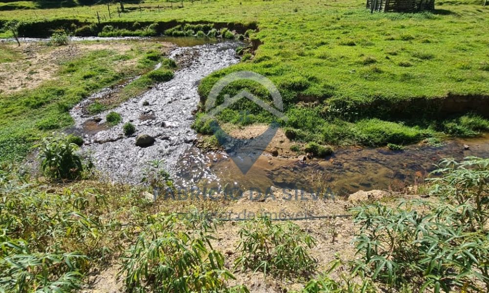 WhatsApp Image 2026-02-04 at 09.47.50 (1)