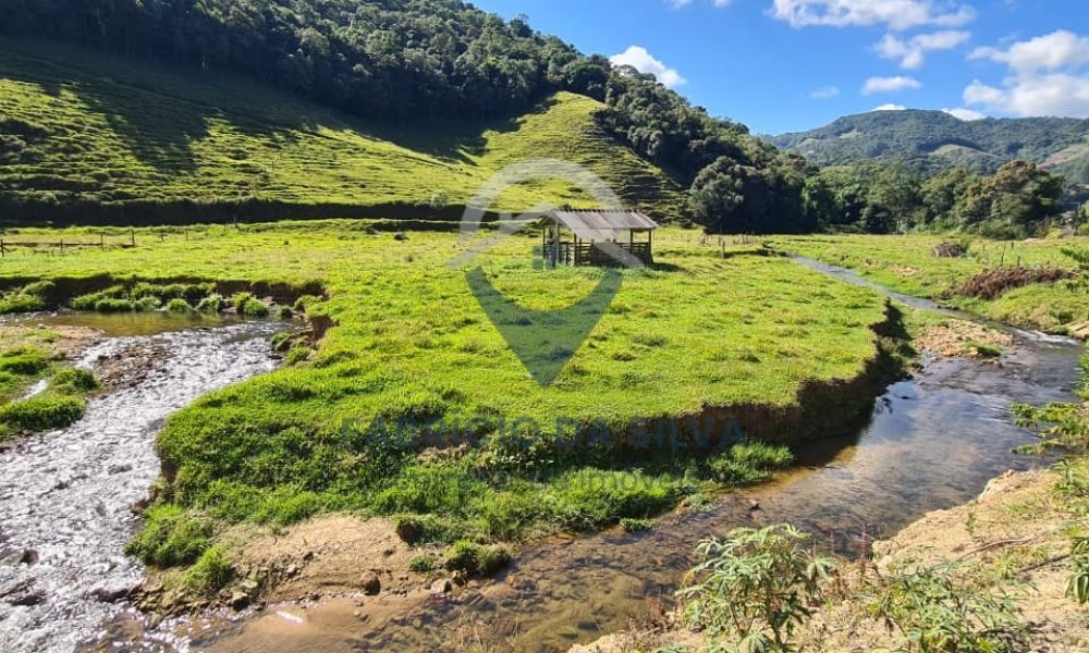 WhatsApp Image 2026-02-04 at 09.47.50 (2)