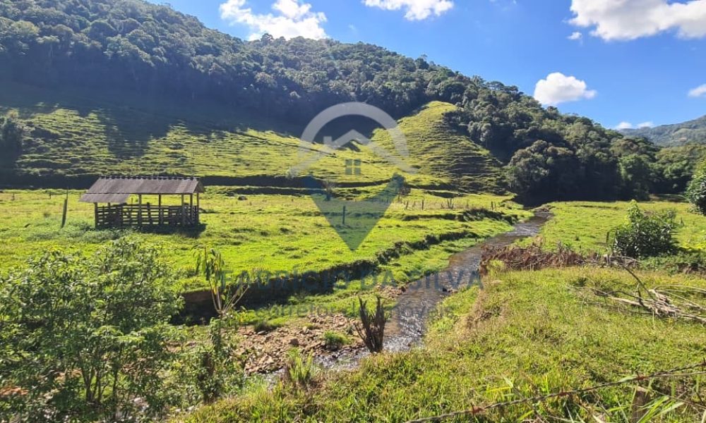 WhatsApp Image 2026-02-04 at 09.47.50