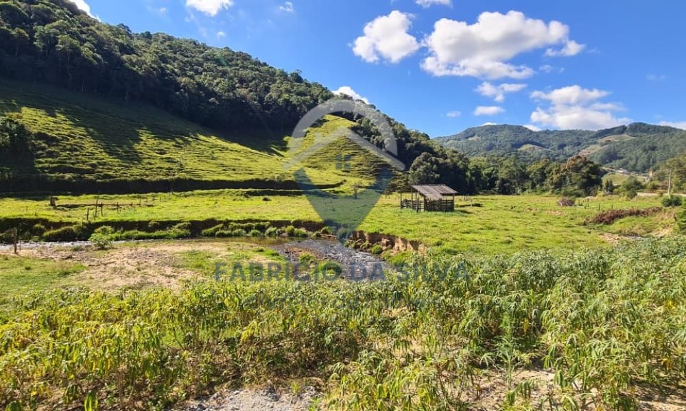 WhatsApp Image 2026-02-04 at 09.47.51