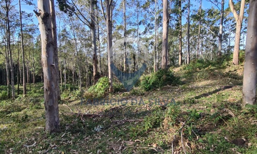 WhatsApp Image 2026-02-04 at 10.50.12