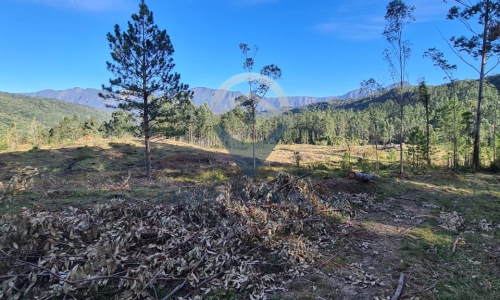 WhatsApp Image 2026-02-04 at 10.50.14 (1)