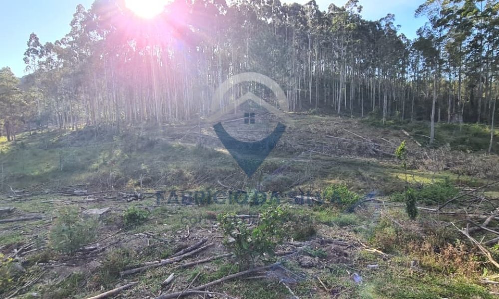 WhatsApp Image 2026-02-04 at 10.50.15