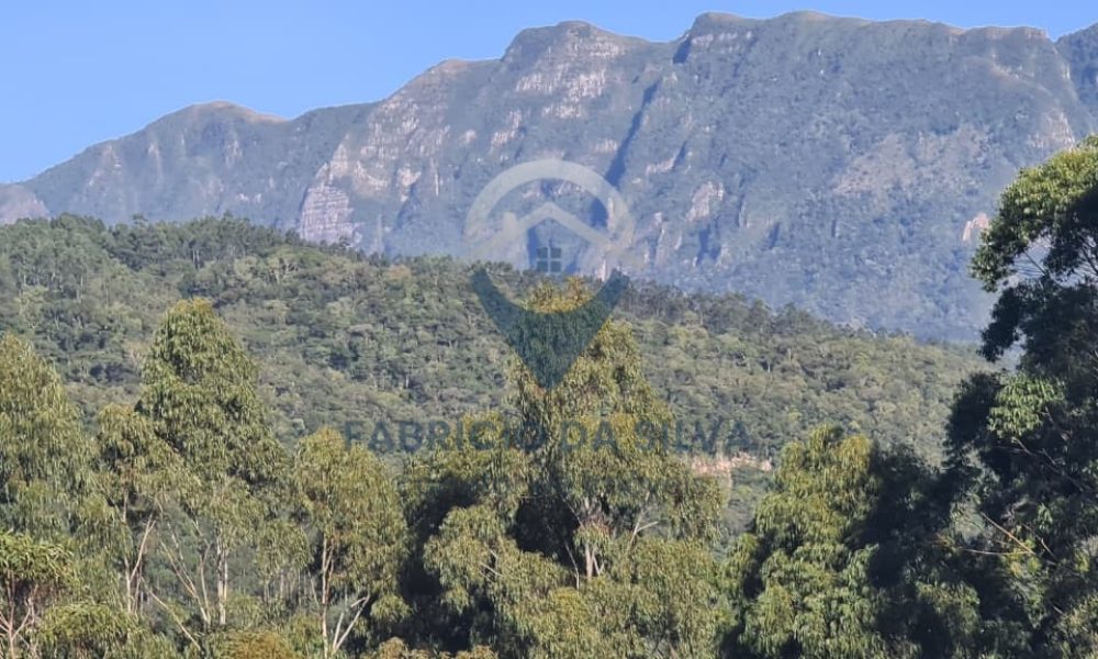 WhatsApp Image 2026-02-04 at 10.50.16 (1)