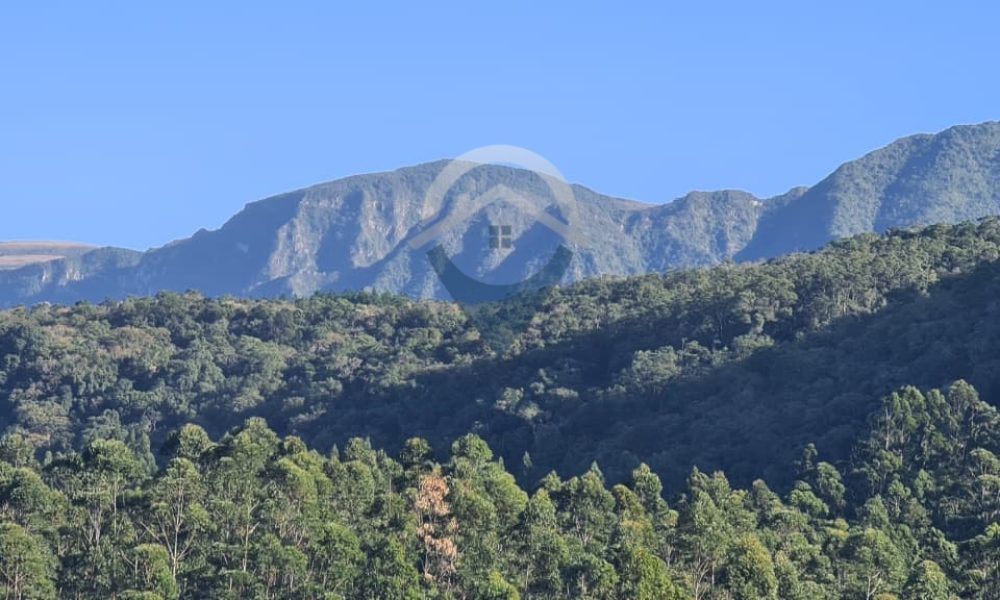 WhatsApp Image 2026-02-04 at 10.50.16 (2)