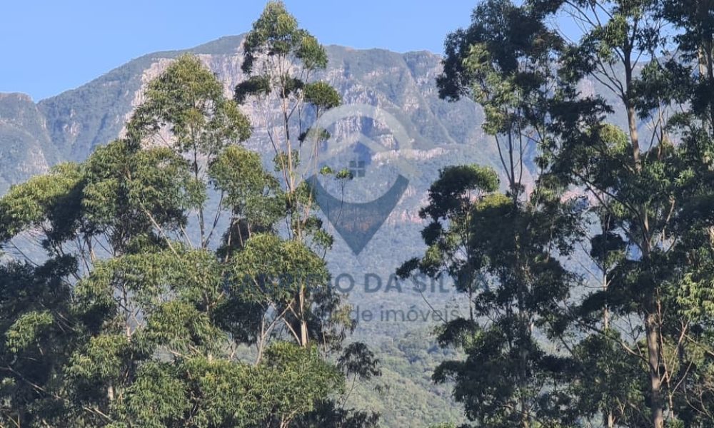 WhatsApp Image 2026-02-04 at 10.50.16