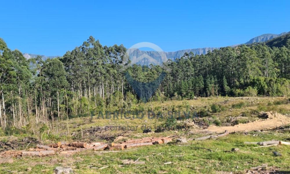 WhatsApp Image 2026-02-04 at 10.50.17 (1)