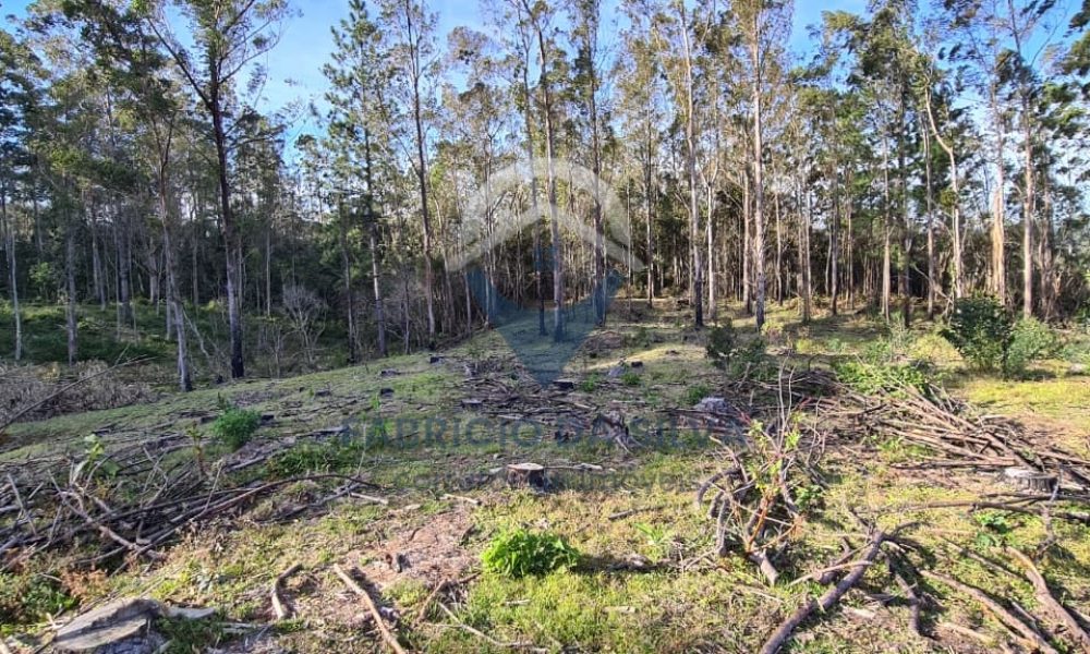 WhatsApp Image 2026-02-04 at 10.50.17