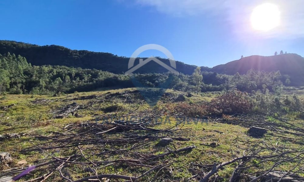 WhatsApp Image 2026-02-04 at 10.50.18