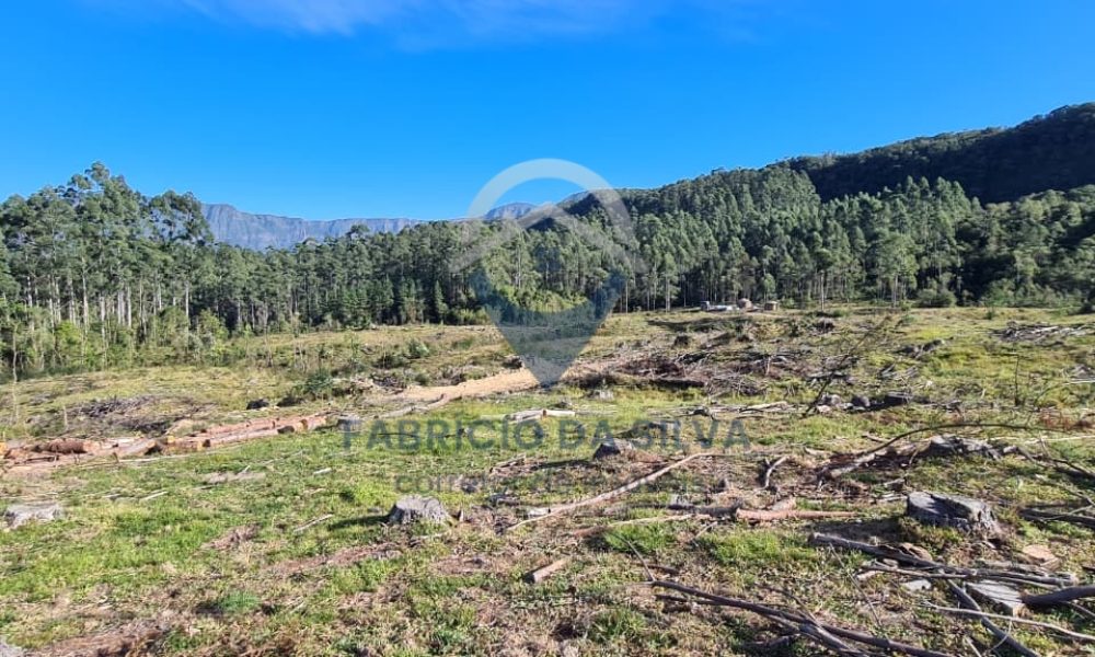 WhatsApp Image 2026-02-04 at 10.50.19