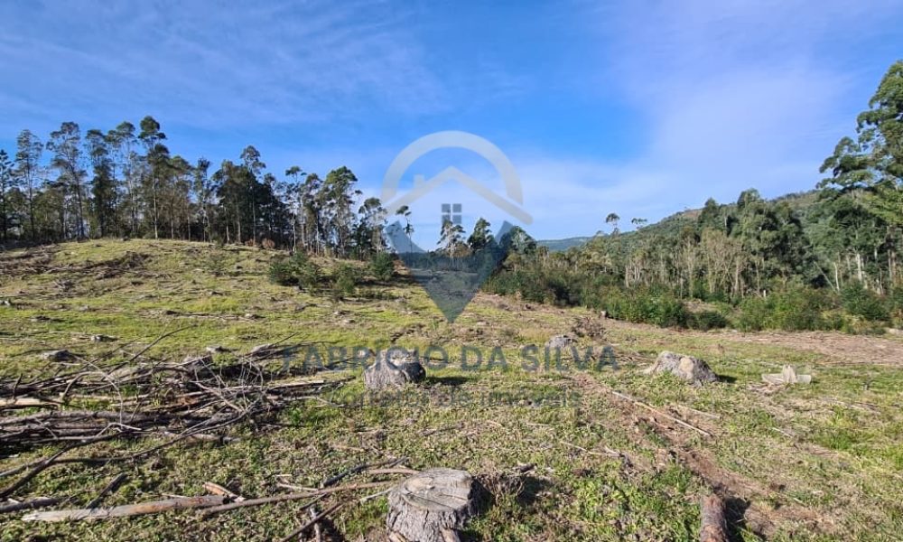 WhatsApp Image 2026-02-04 at 10.50.20