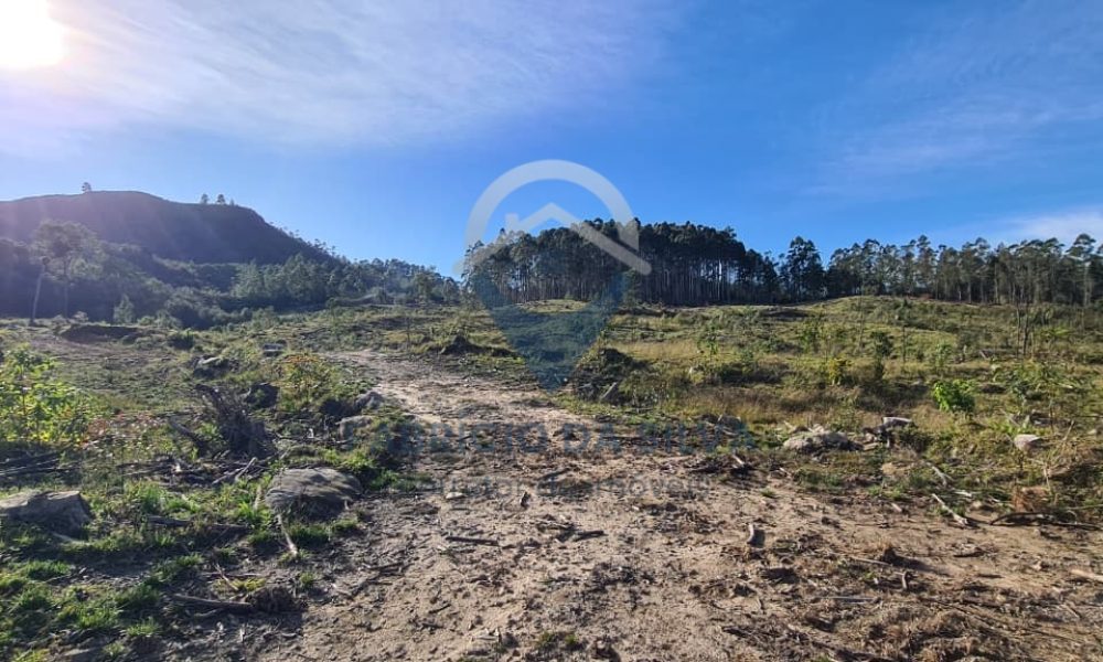 WhatsApp Image 2026-02-04 at 10.50.22 (1)