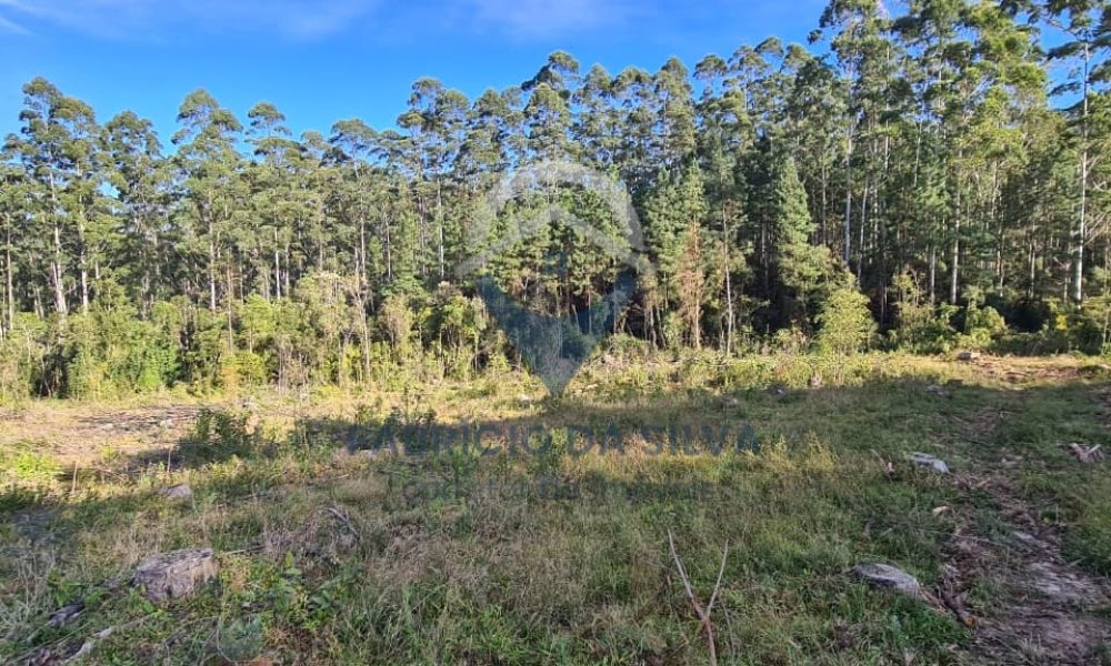 WhatsApp Image 2026-02-04 at 10.50.22 (2)