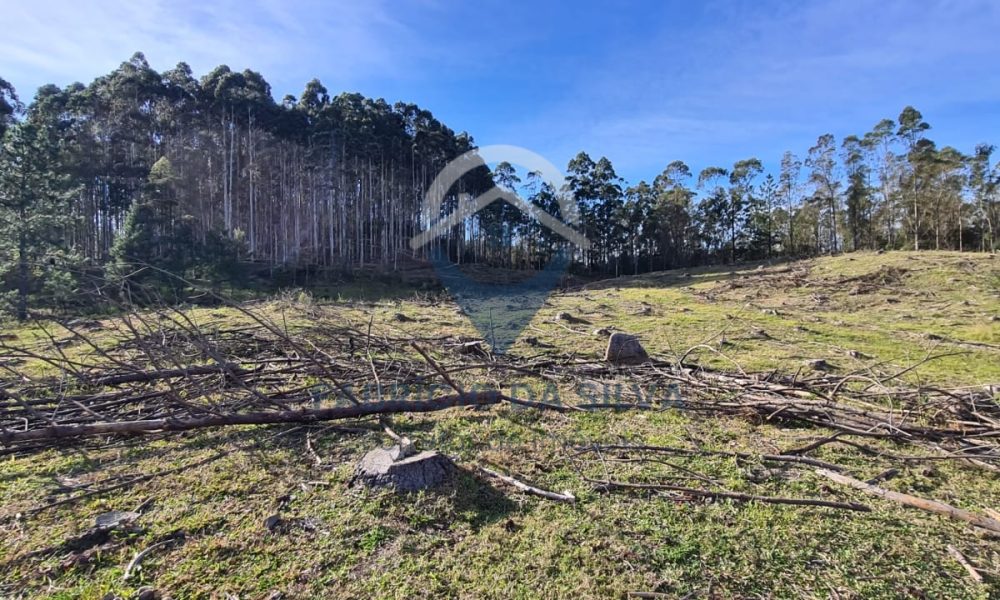 WhatsApp Image 2026-02-04 at 10.50.22