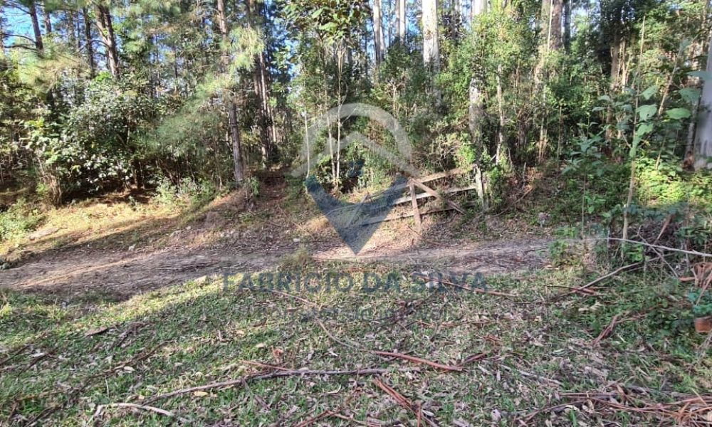 WhatsApp Image 2026-02-04 at 10.50.25