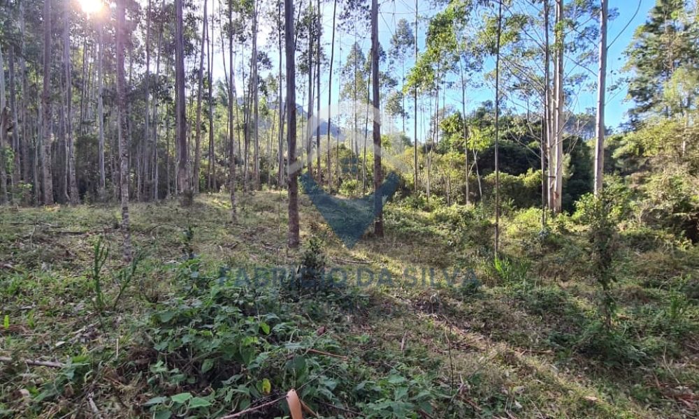 WhatsApp Image 2026-02-04 at 10.50.27