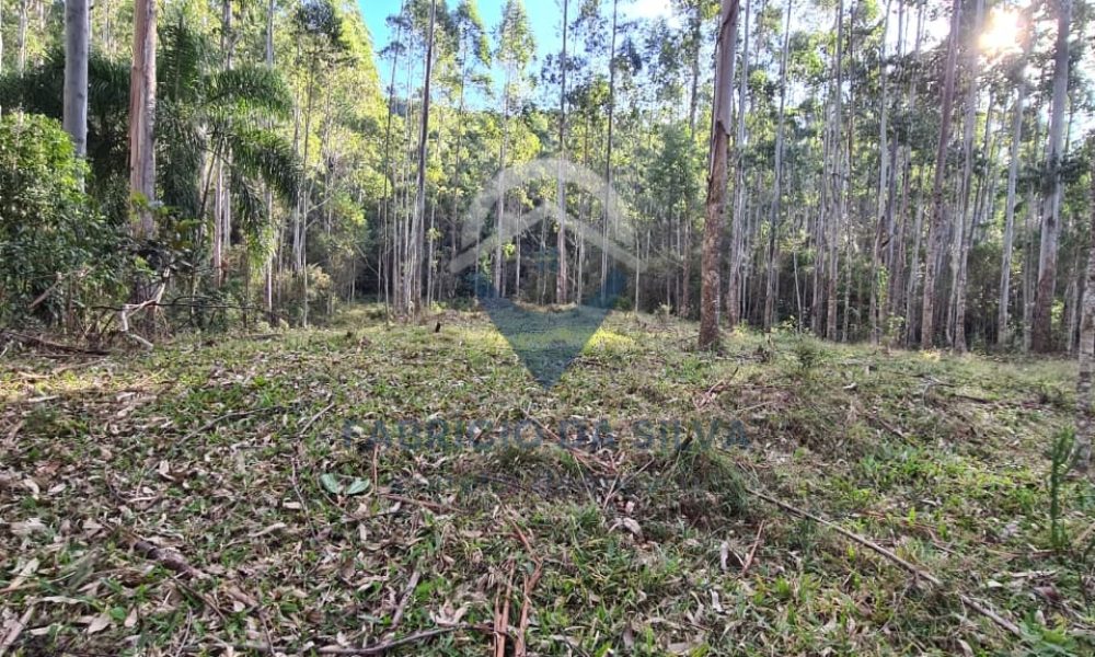 WhatsApp Image 2026-02-04 at 10.50.37