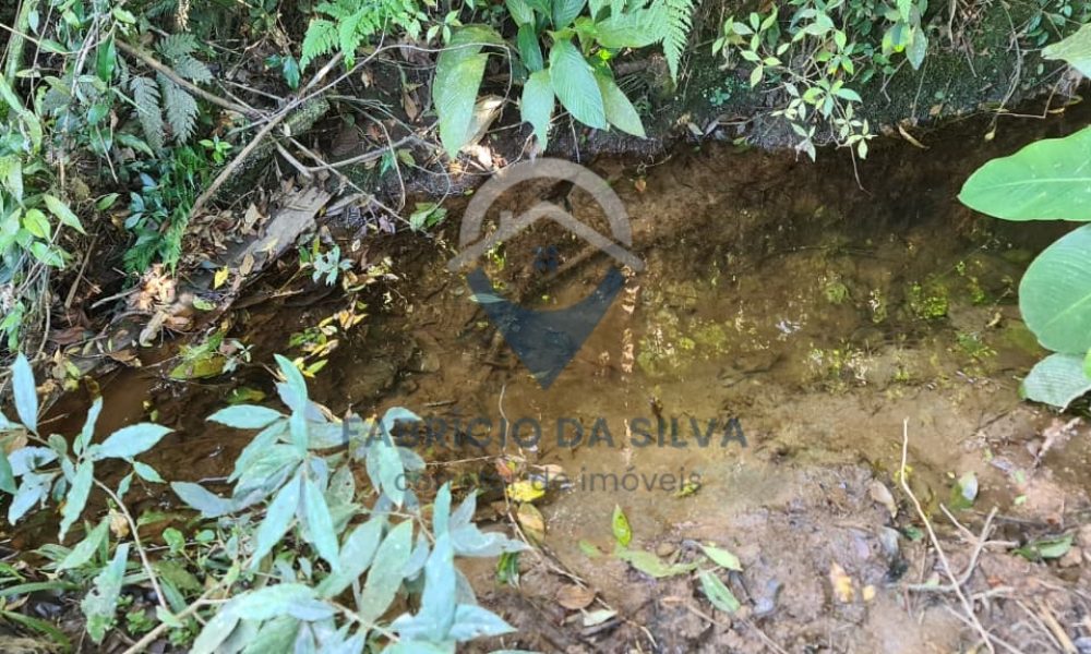 WhatsApp Image 2026-02-04 at 10.50.39