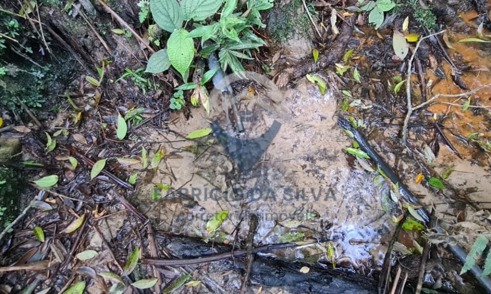 WhatsApp Image 2026-02-04 at 10.50.40 (1)