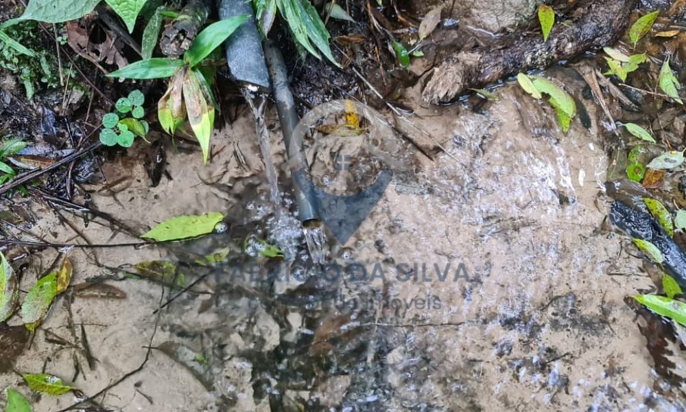 WhatsApp Image 2026-02-04 at 10.50.40