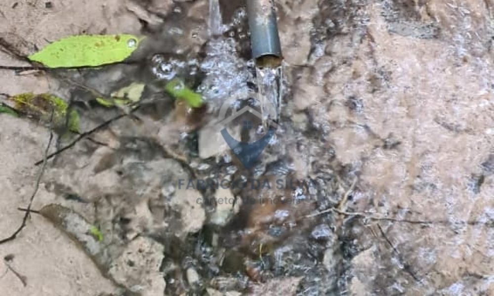 WhatsApp Image 2026-02-04 at 10.50.41 (1)