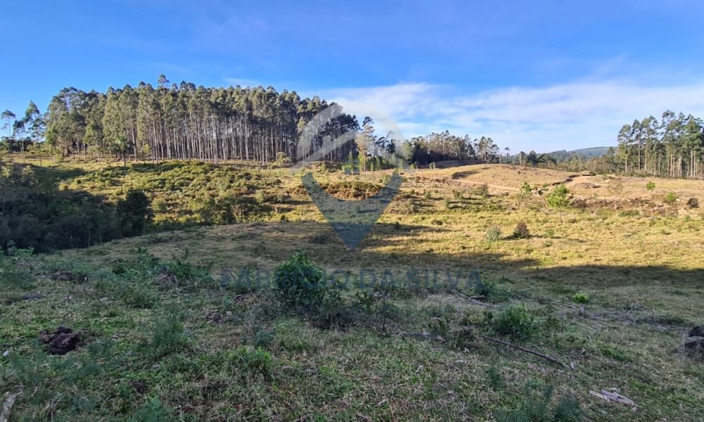 WhatsApp Image 2026-02-04 at 10.50.41 (2)