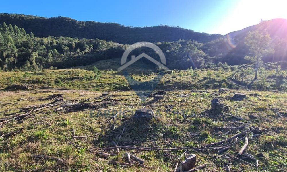 WhatsApp Image 2026-02-04 at 10.50.42 (1)