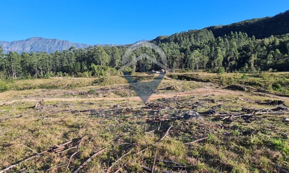 WhatsApp Image 2026-02-04 at 10.50.42 (2)