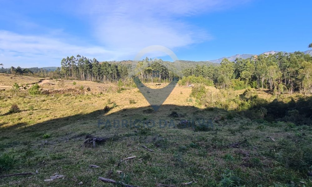 WhatsApp Image 2026-02-04 at 10.50.42