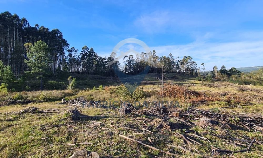 WhatsApp Image 2026-02-04 at 10.50.44