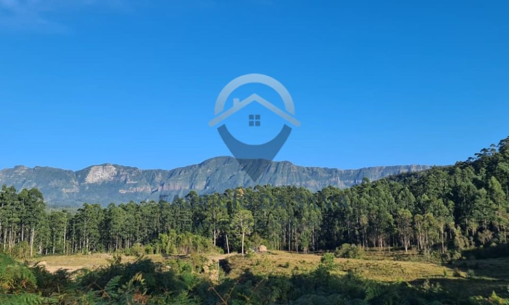 WhatsApp Image 2026-02-04 at 10.50.46