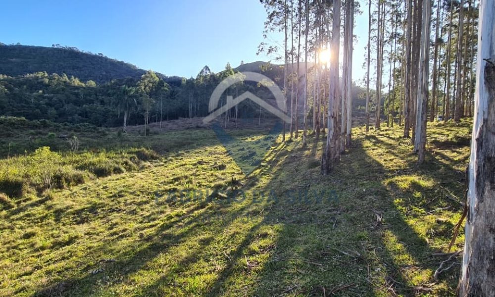 WhatsApp Image 2026-02-04 at 10.50.48 (2)