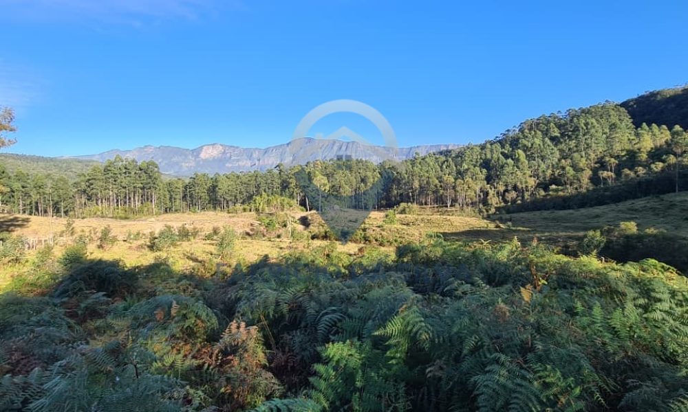 WhatsApp Image 2026-02-04 at 10.50.48