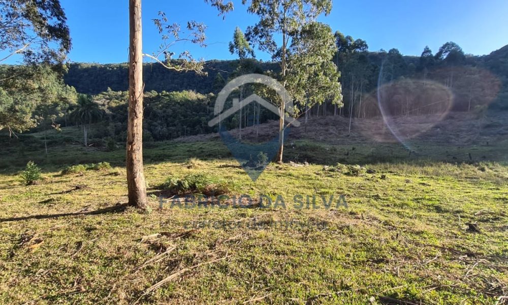 WhatsApp Image 2026-02-04 at 10.50.49 (1)