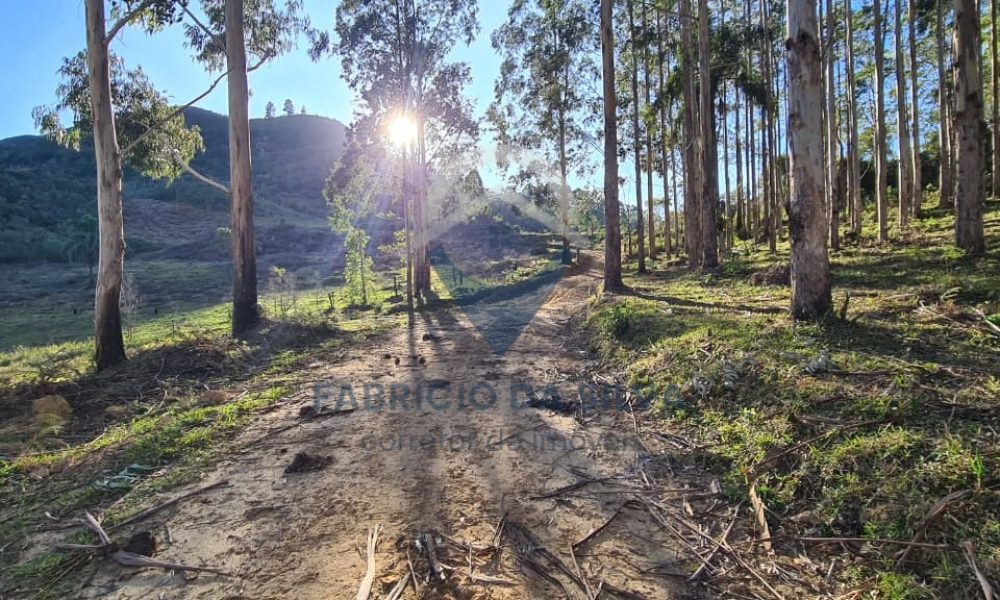 WhatsApp Image 2026-02-04 at 10.50.49 (2)