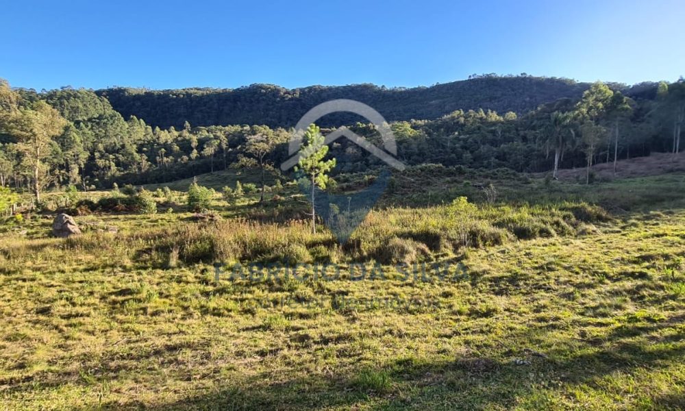 WhatsApp Image 2026-02-04 at 10.50.49