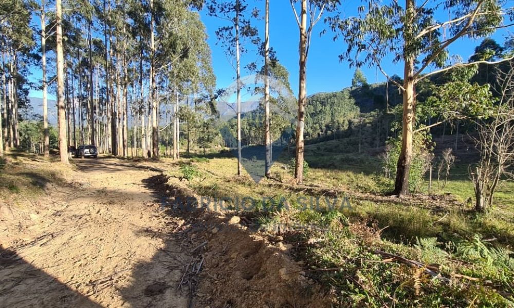 WhatsApp Image 2026-02-04 at 10.50.50 (1)