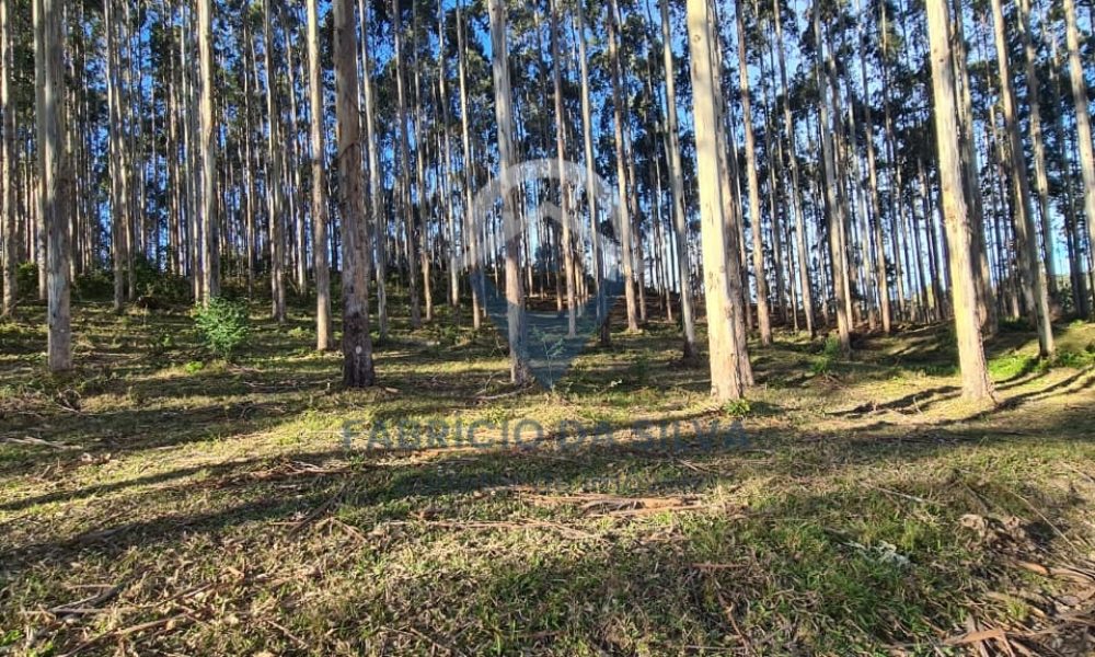 WhatsApp Image 2026-02-04 at 10.50.50