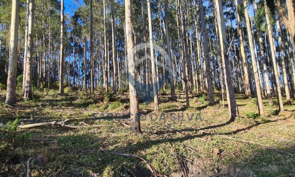 WhatsApp Image 2026-02-04 at 10.50.51 (1)