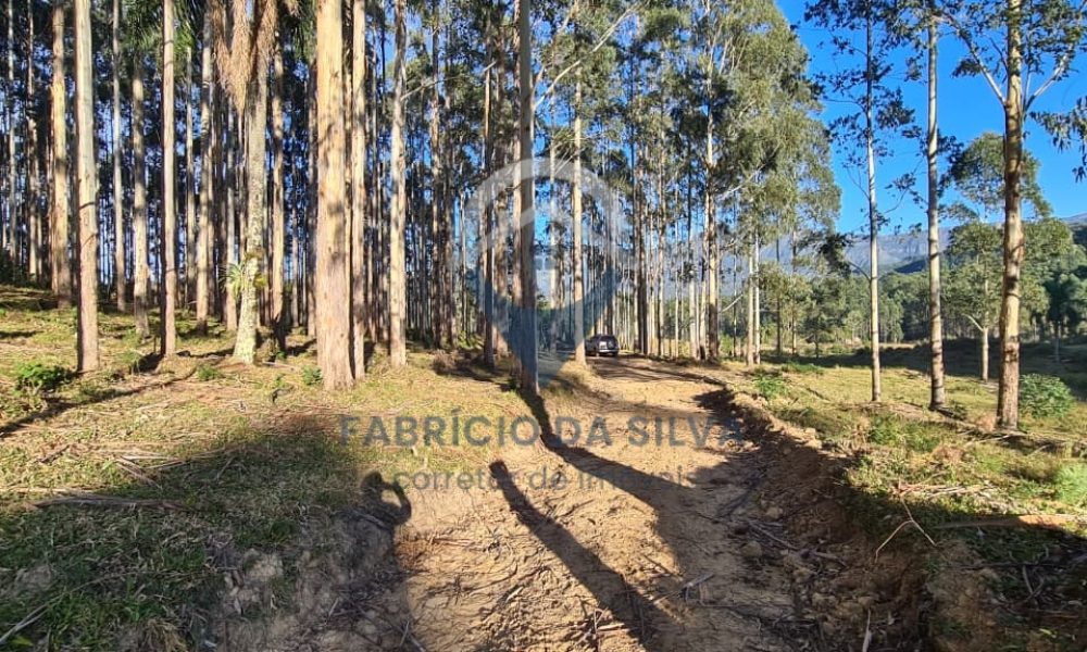 WhatsApp Image 2026-02-04 at 10.50.51